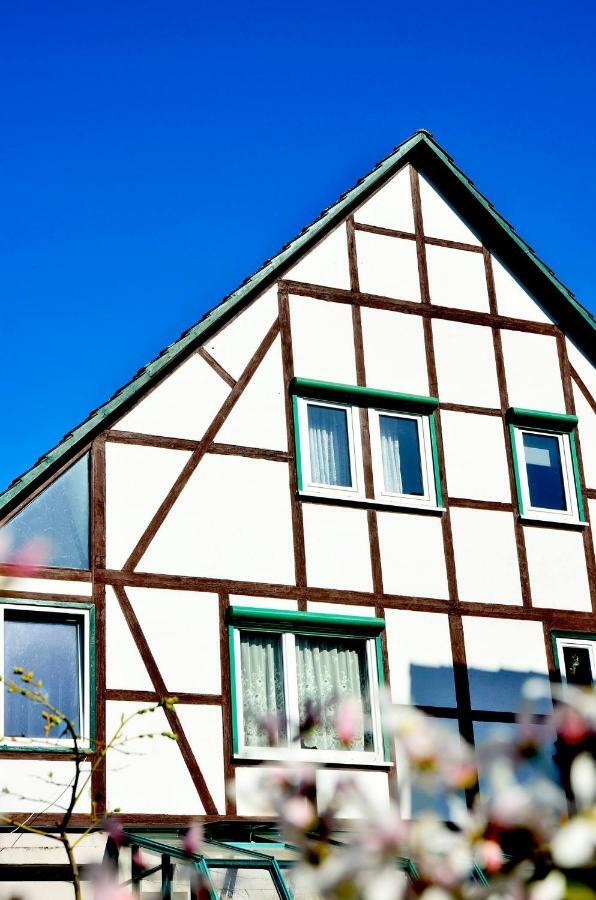 Ferienwohnung Wilhelm Springstille Exterior foto
