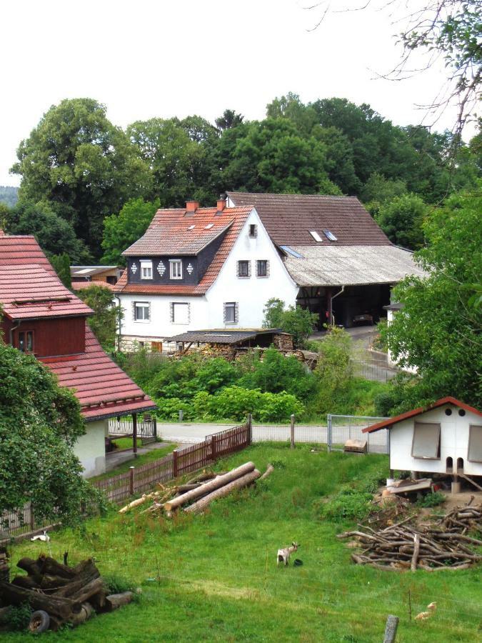 Ferienwohnung Wilhelm Springstille Exterior foto